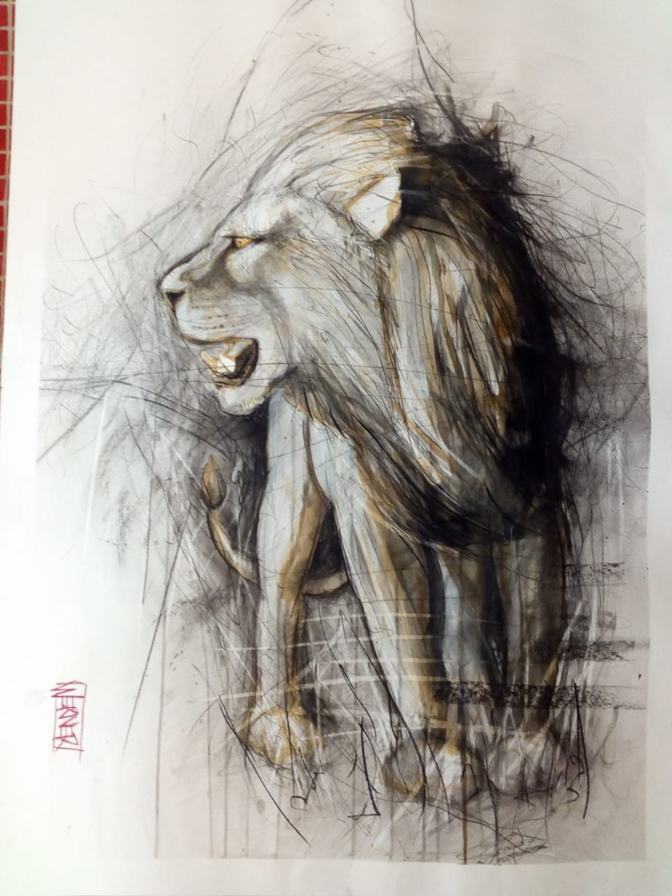 Lion Study by Werner Smith